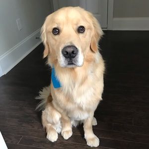 Meet your Posher, Ian